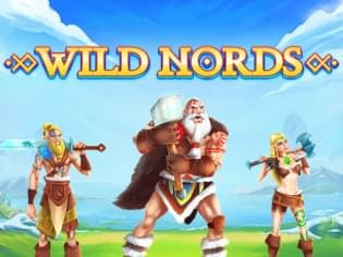 Wild Nords game thumbnail